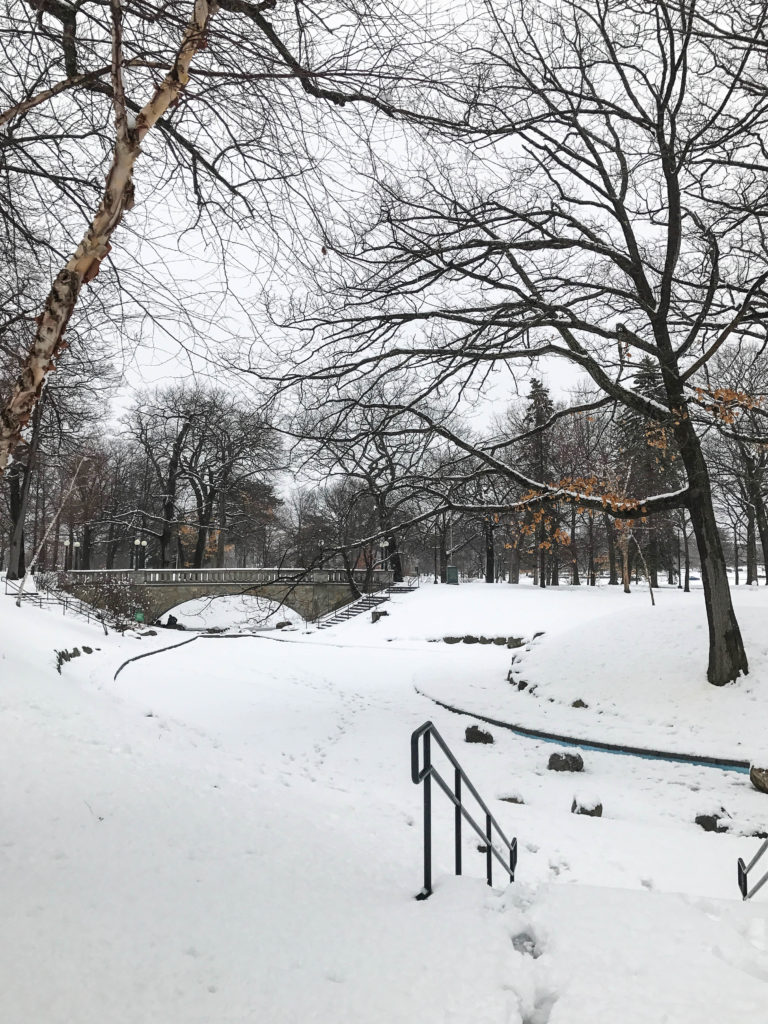 Un petit air de Central Park ?