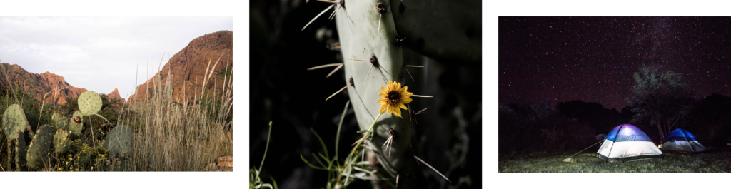 Big Bend National Park, Texas