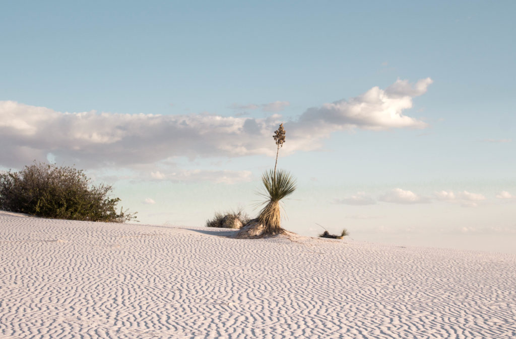 White Sands National Monument, Nouveau-Mexique