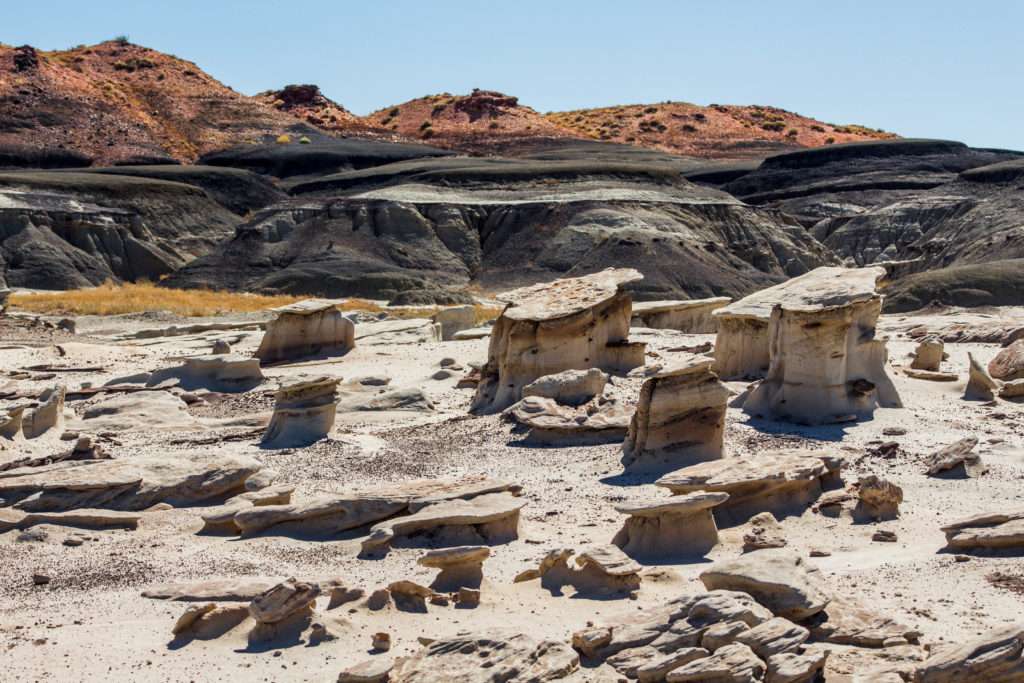 Bisti Badlands, Nouveau-Mexique