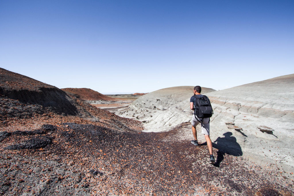 Bisti Badlands, Nouveau-Mexique