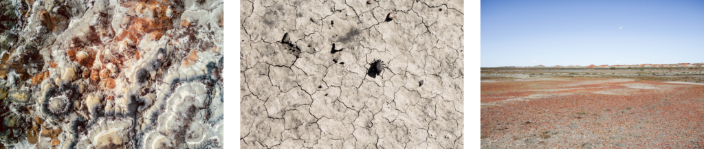 Bisti Badlands, Nouveau-Mexique