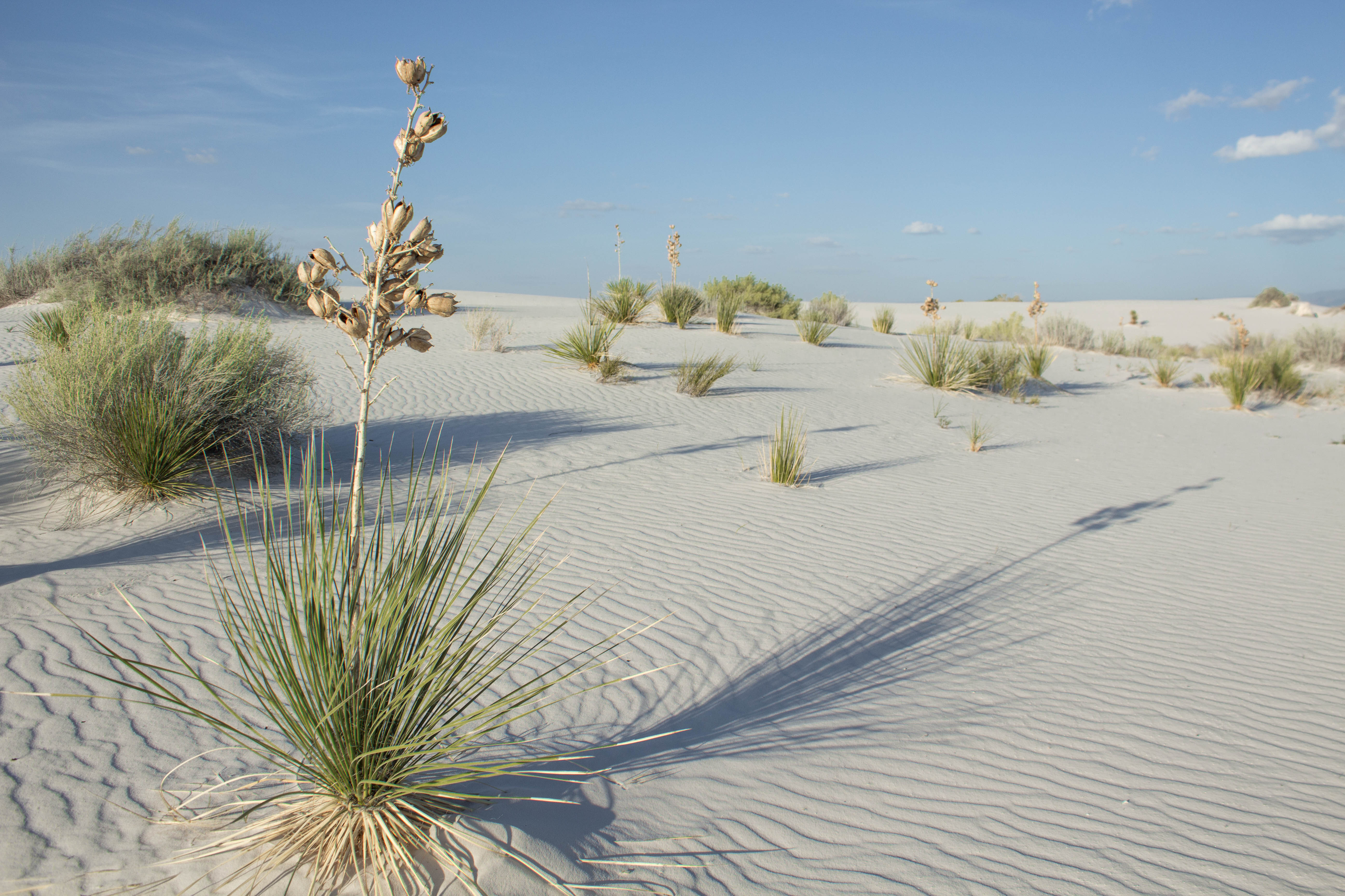 White Sands National Park