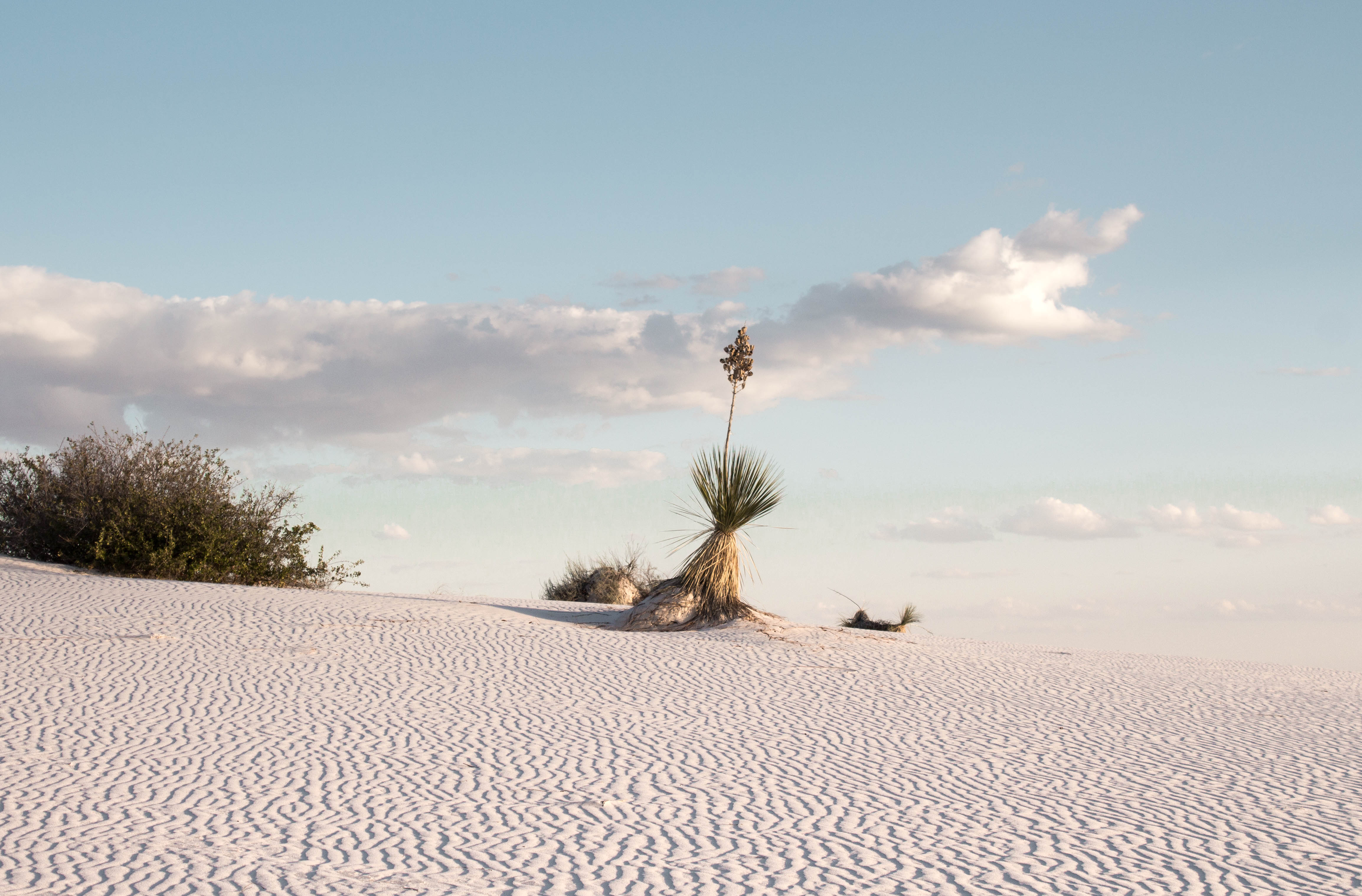 Parc national de White Sands