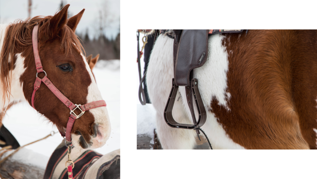 Chaudière-Appalaches | Le rêve canadien en un weekend