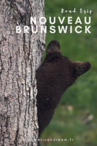 Nouveau-Brunswick, Pinterest