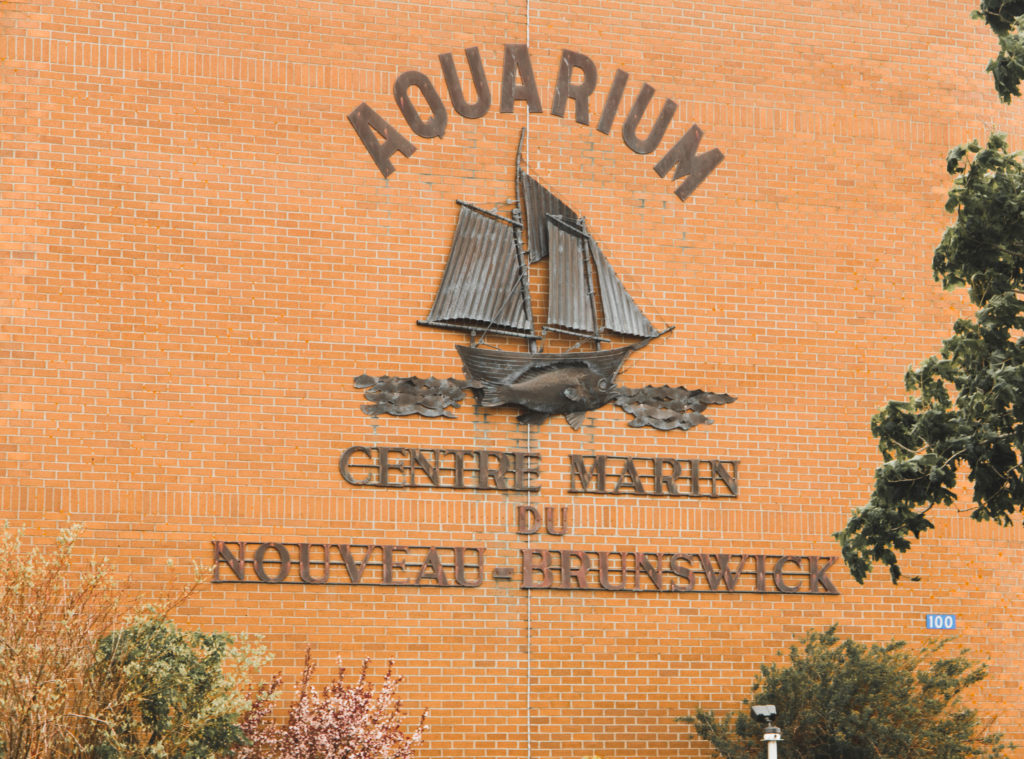 Road trip au Nouveau-Brunswick | Centre Marin de Shipaggan