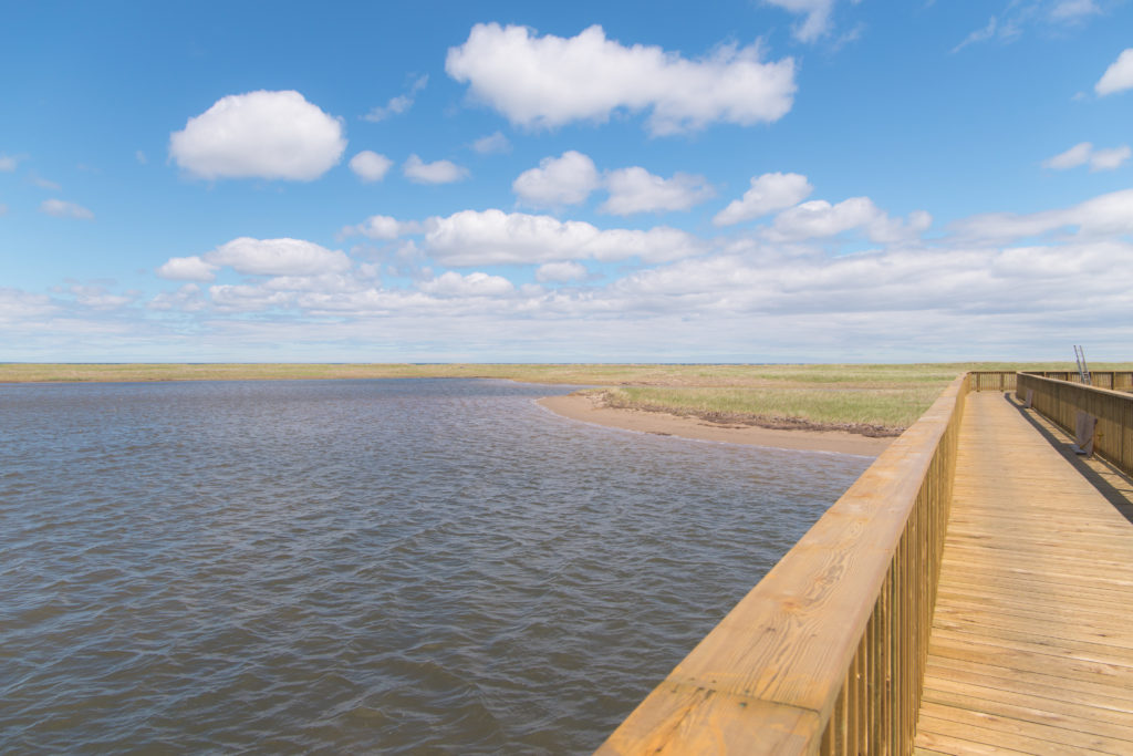 Road trip au Nouveau-Brunswick | Parc National Kouchibouguac