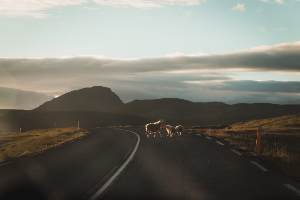 Faire le tour de l'Islande en van avec Kúkú Campers
