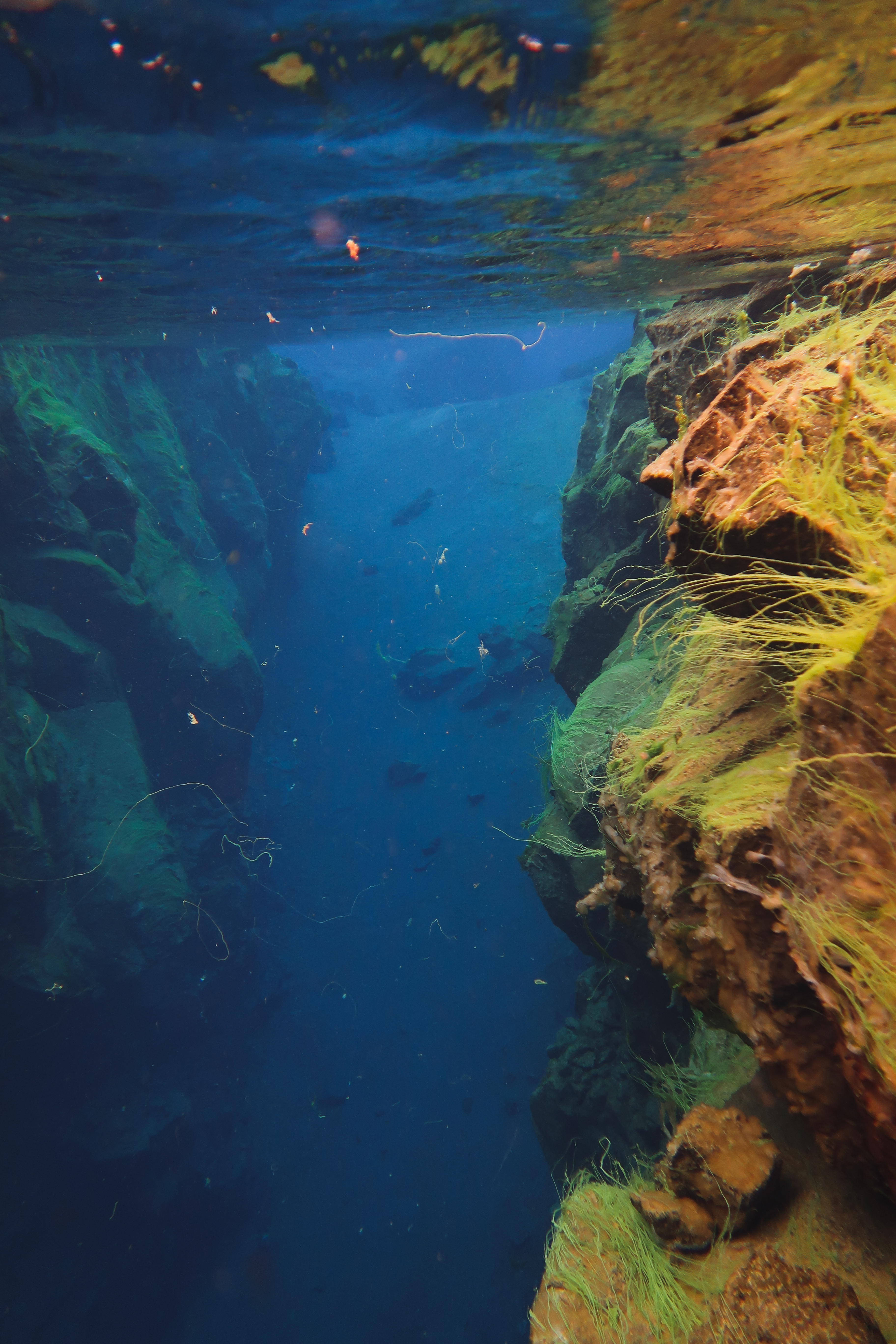Islande | Faire du snorkeling dans une faille entre deux continent à Silfra