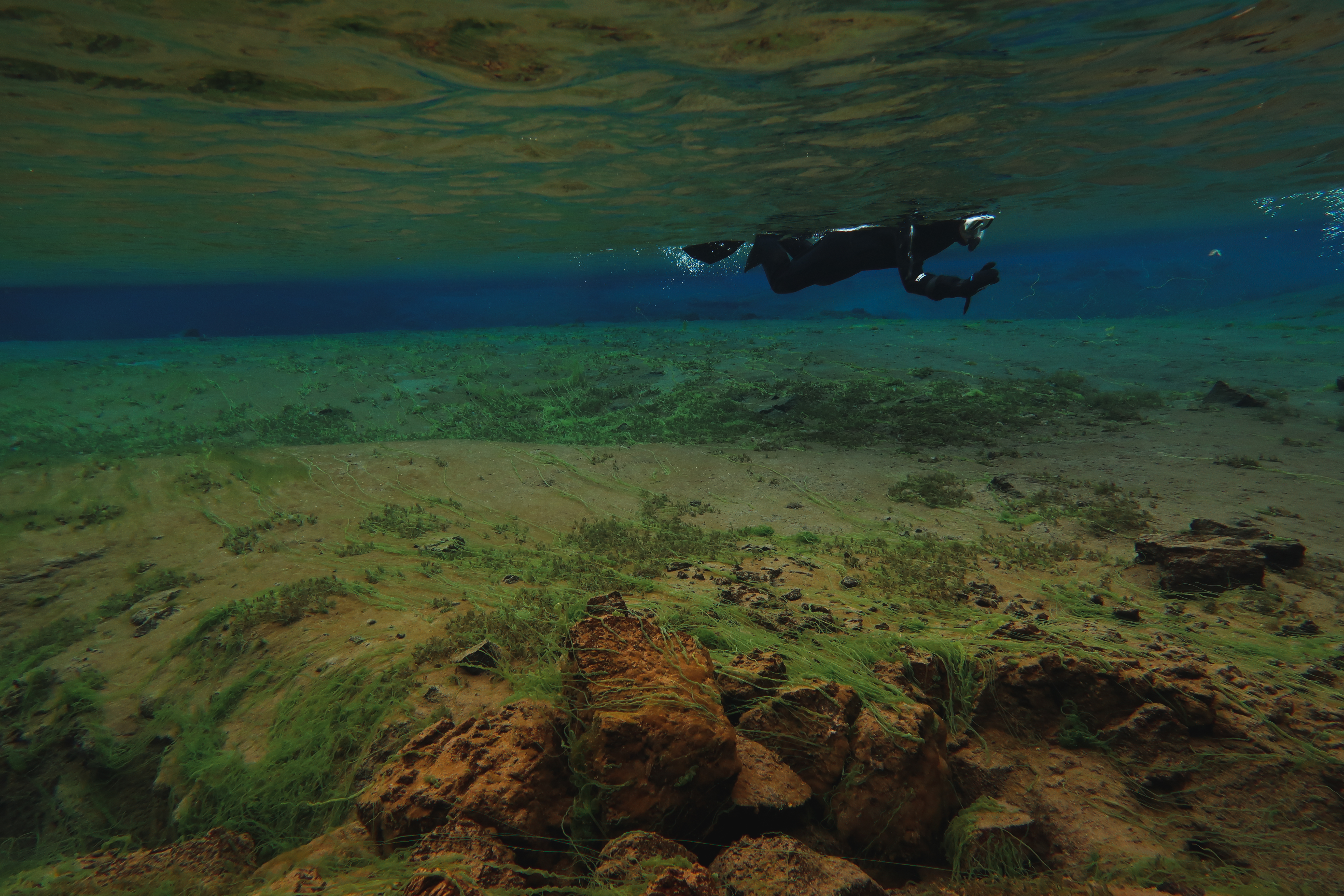 Islande | Faire du snorkeling dans une faille entre deux continent à Silfra