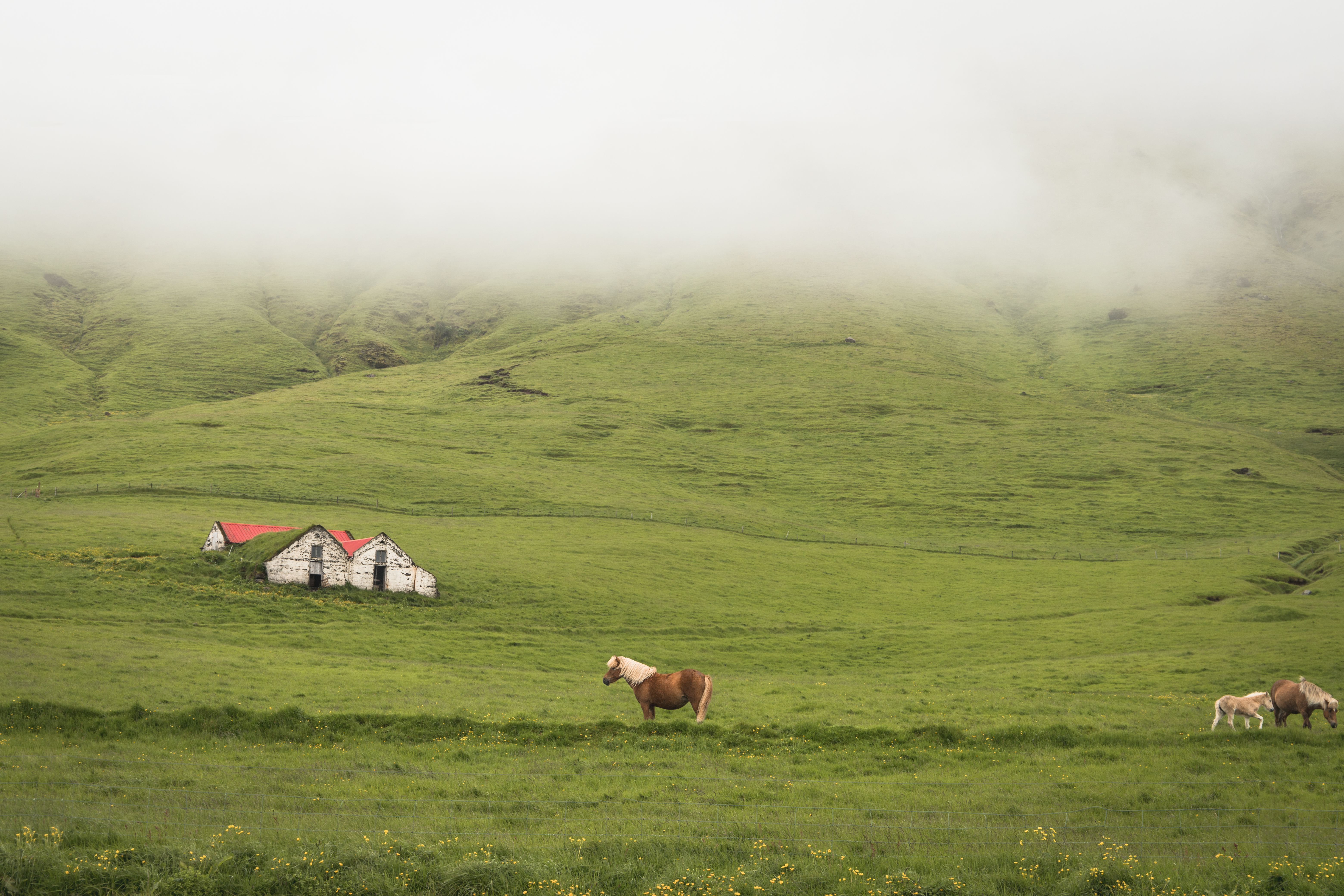 Préparer un road trip en Islande