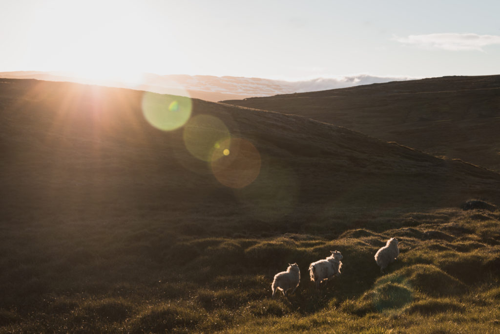 Préparer son road trip en Islande