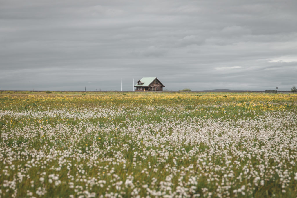 Islande | Le Cercle d'Or et les merveilles du sud - Seljalandsfoss