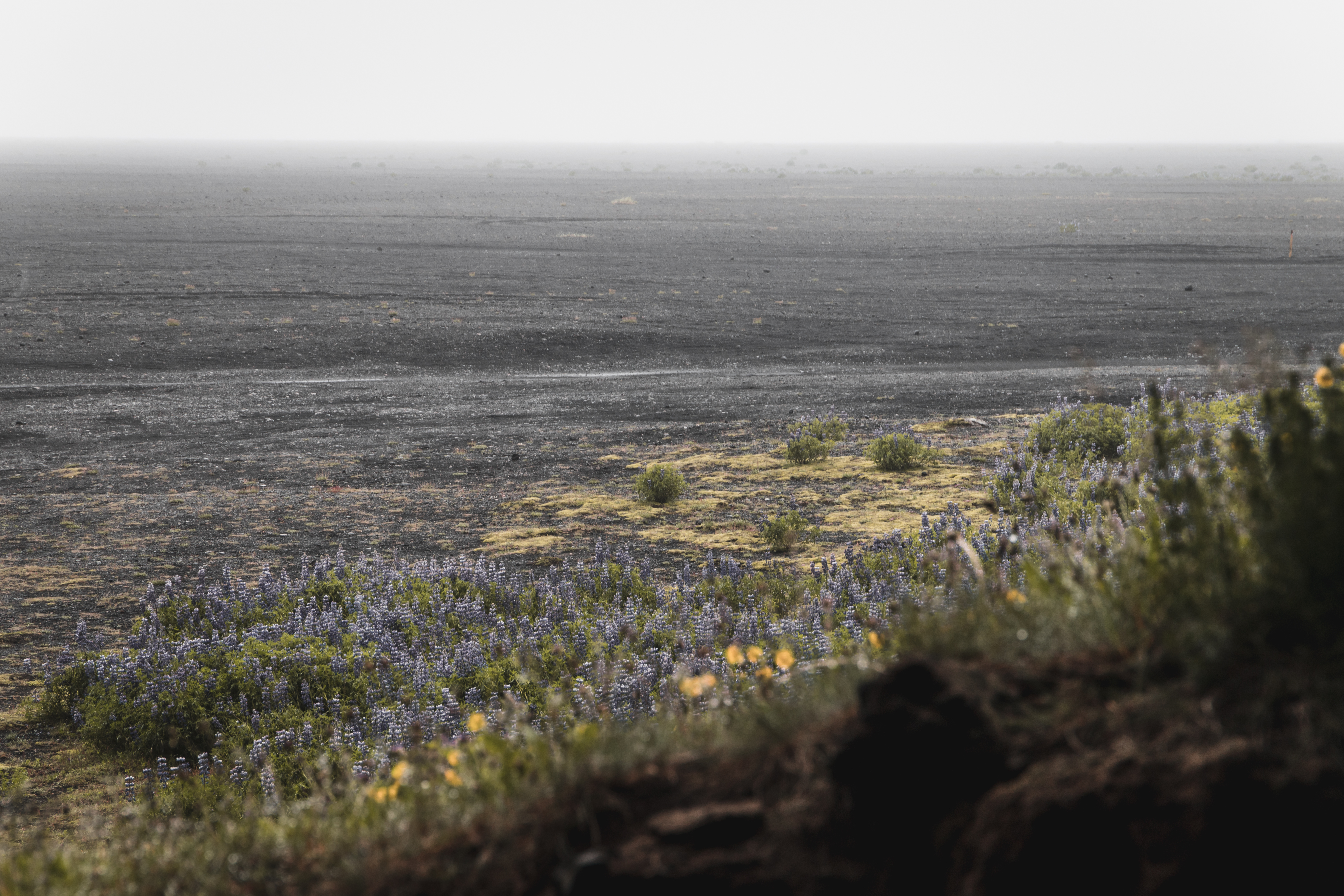 Islande | Le Cercle d'Or et les merveilles du sud - Hjörleifshöfði