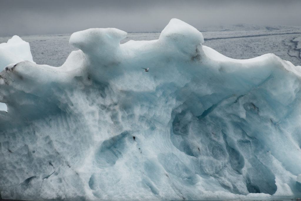 Islande | Le Cercle d'Or et les merveilles du sud - Jökulsárlón