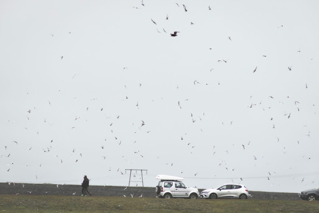 Islande | Le Cercle d'Or et les merveilles du sud - Jökulsárlón