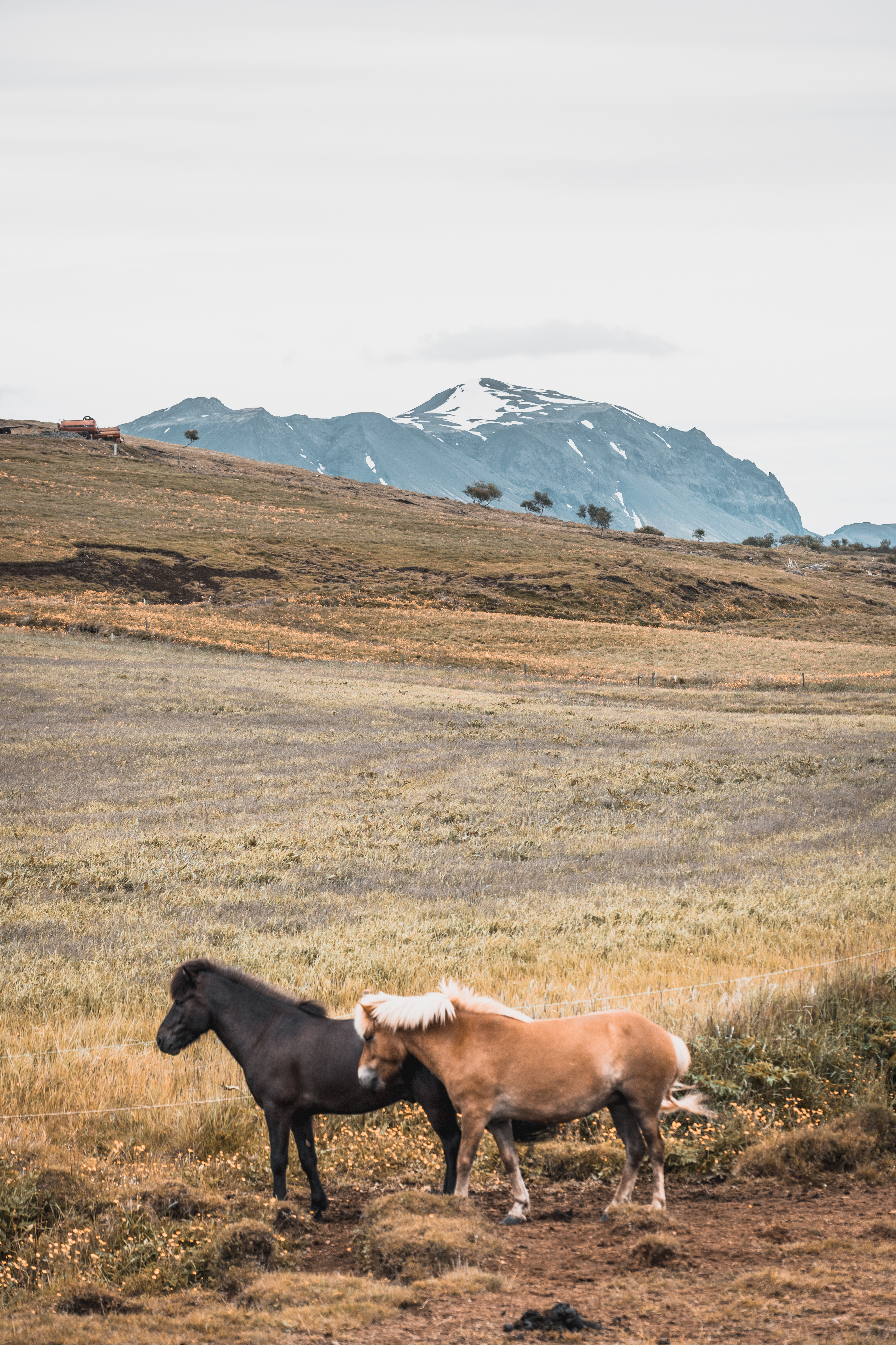 Islande | Le Cercle d'Or et les merveilles du sud