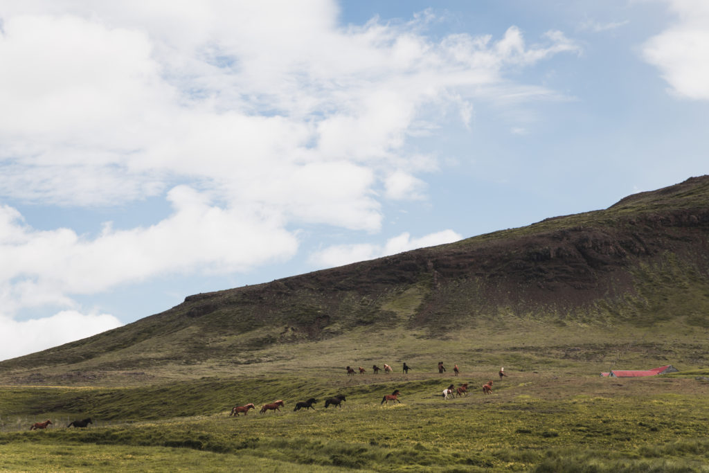 Islande | La péninsule du Snæfellsness