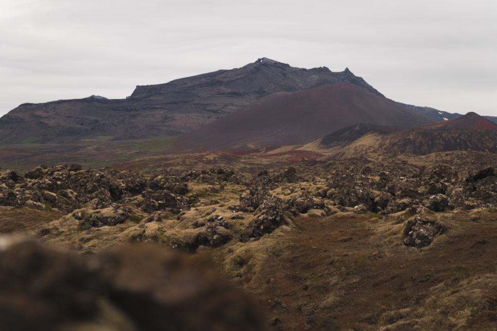 Islande | La péninsule du Snæfellsness - Berserkjahraun