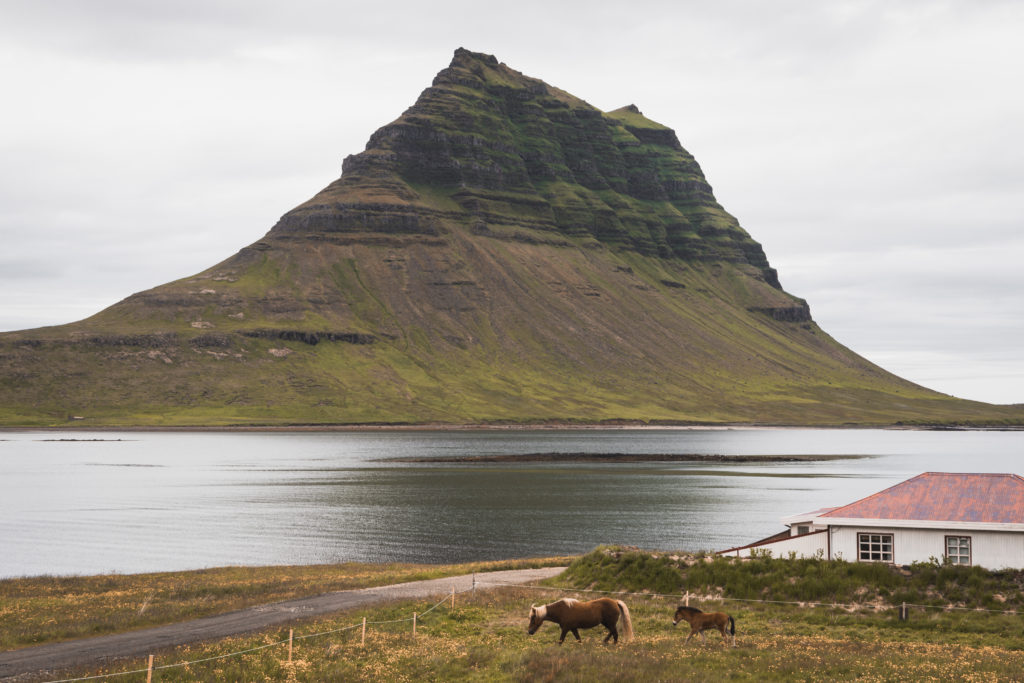 Islande | La péninsule du Snæfellsness - Kirkjufell