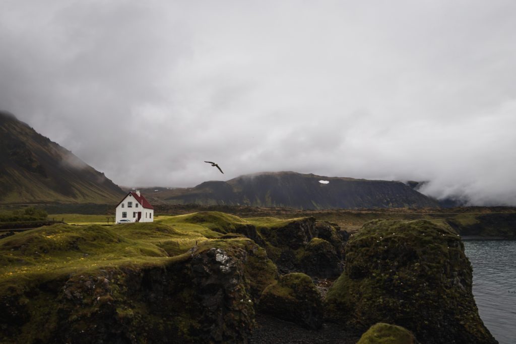 Islande | La péninsule du Snæfellsness - Arnarstapi