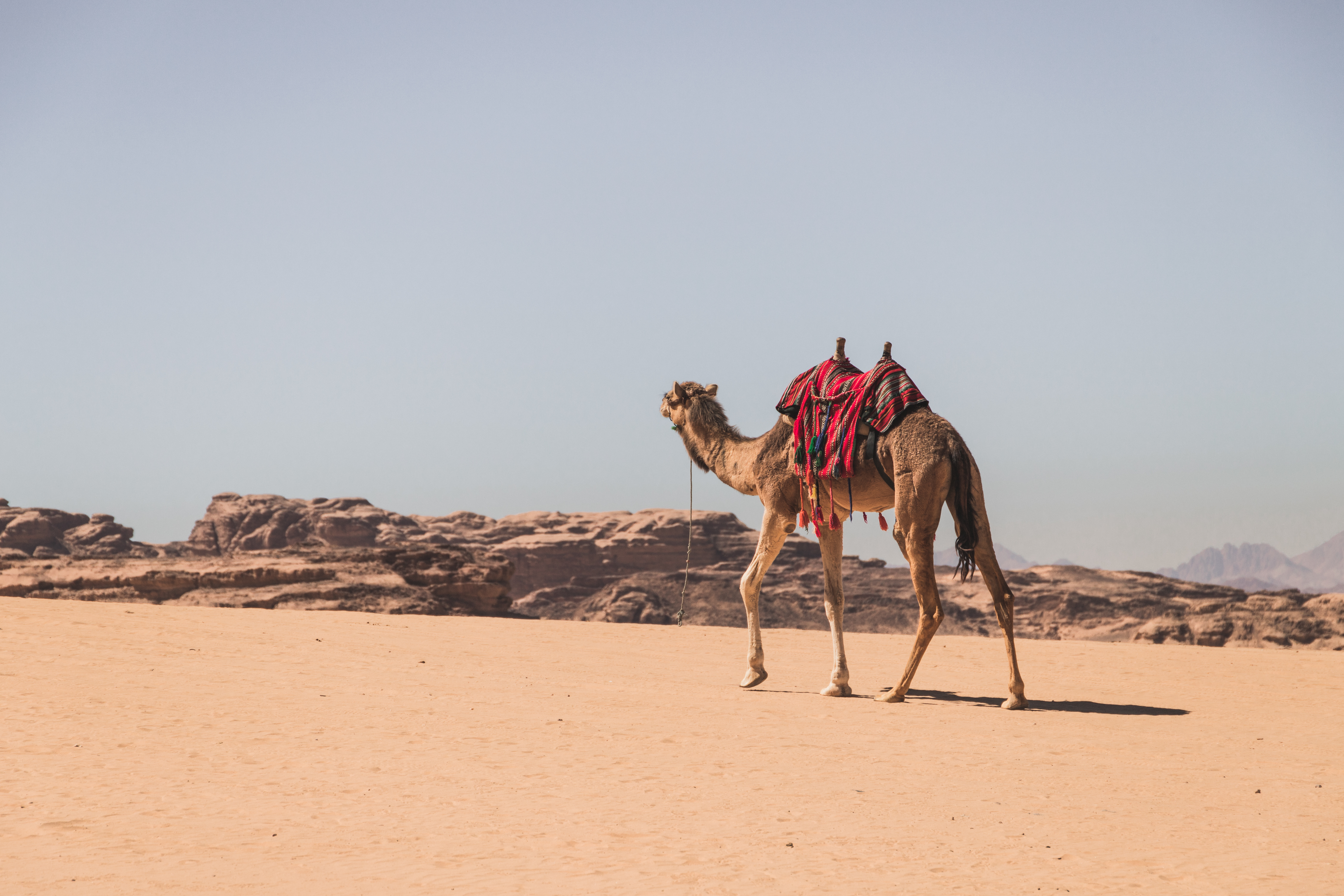 Wadi Rum - Préparer son road trip en Jordanie
