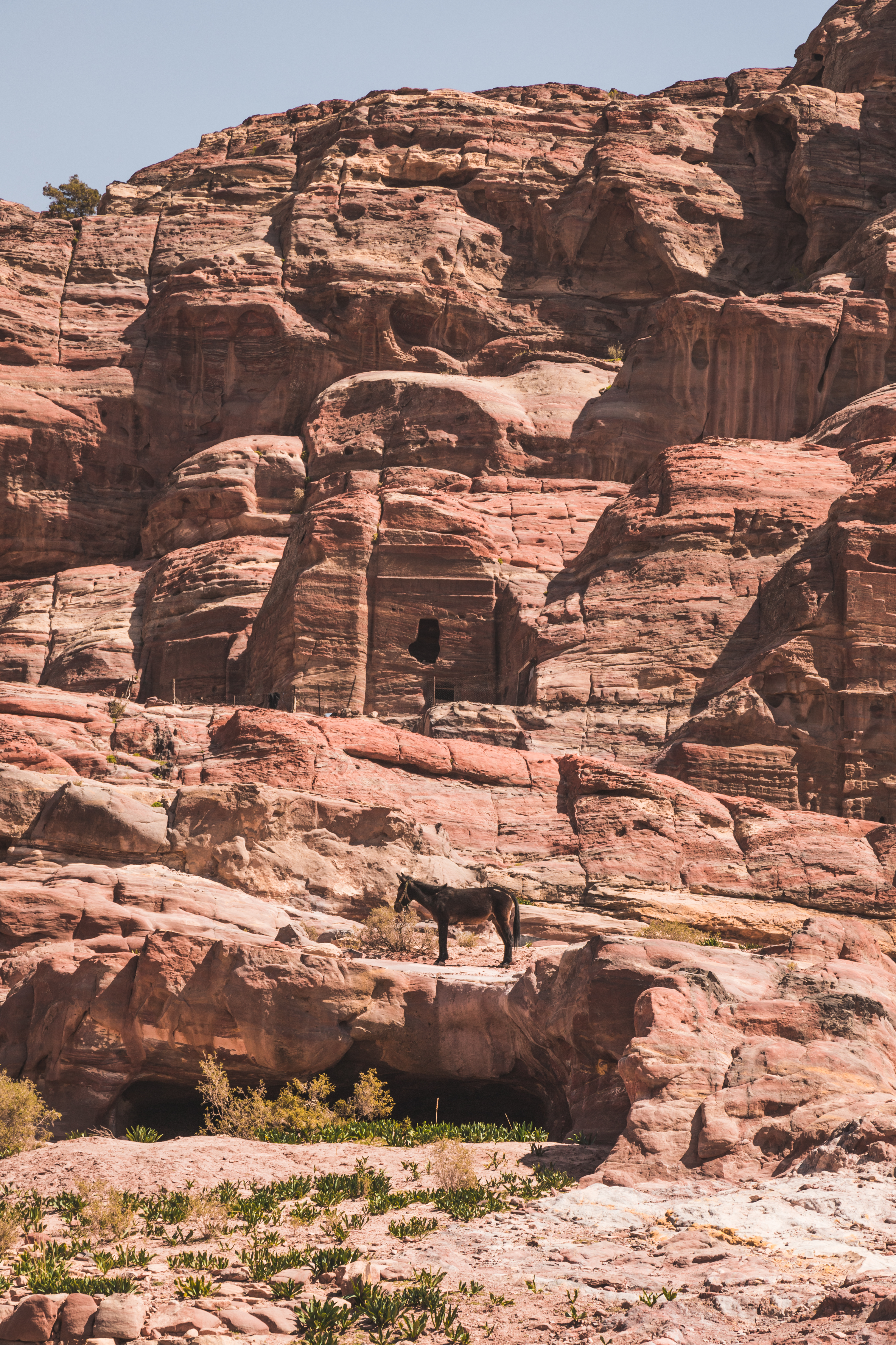 Jordanie | Notre guide pour découvrir Pétra