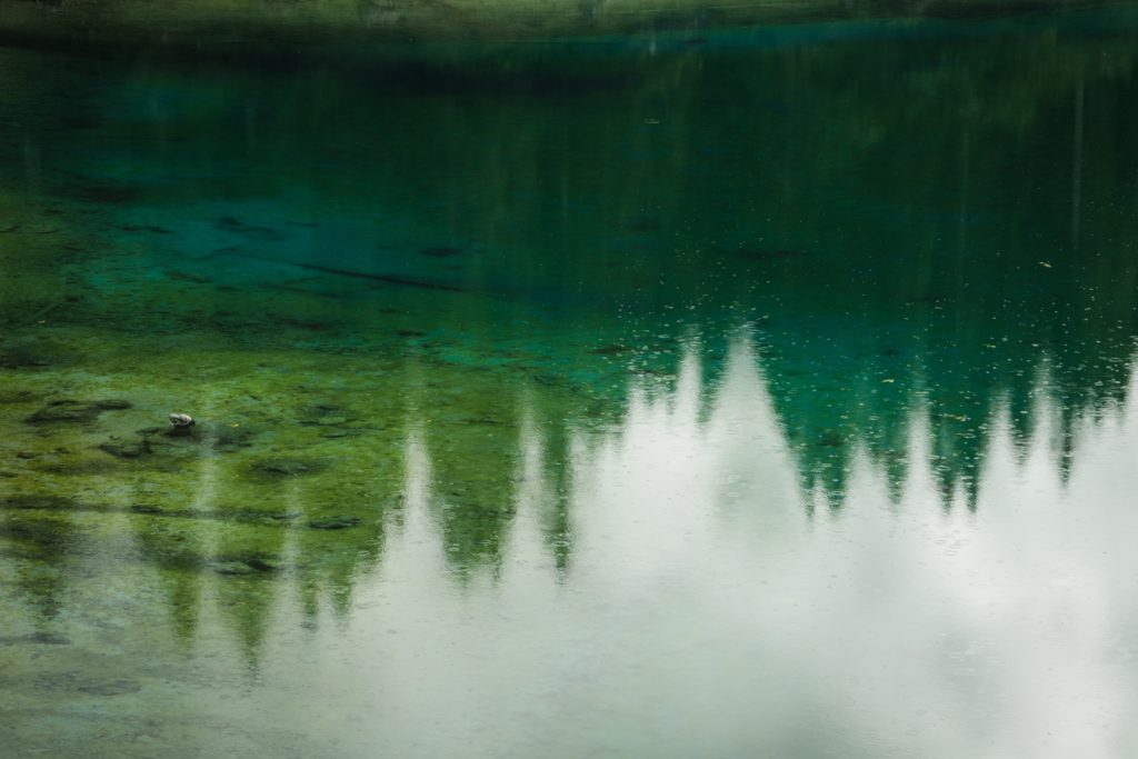 Lago di Carezza