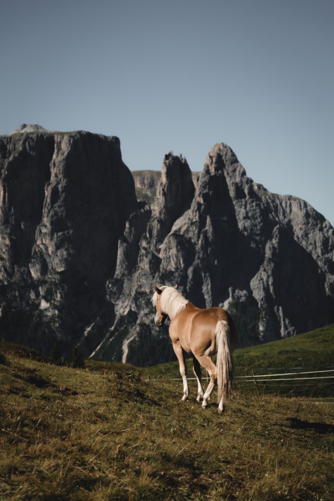 Alpe di Siusi