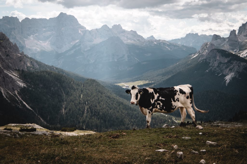 Tre Cime 