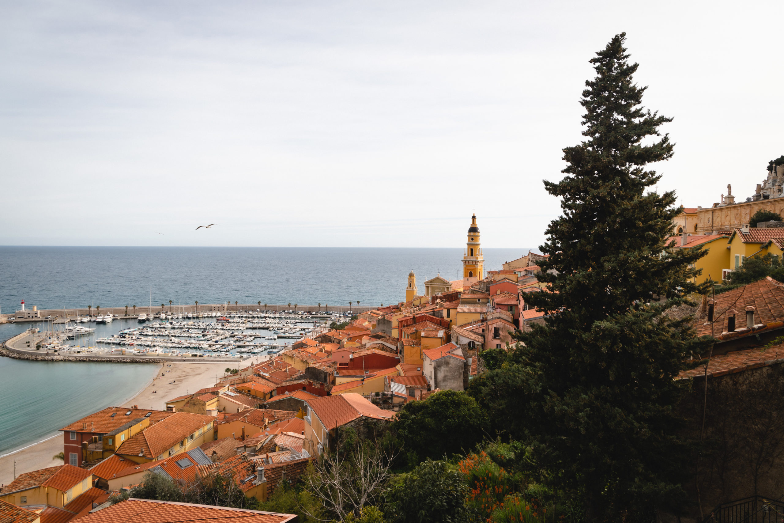 Menton 