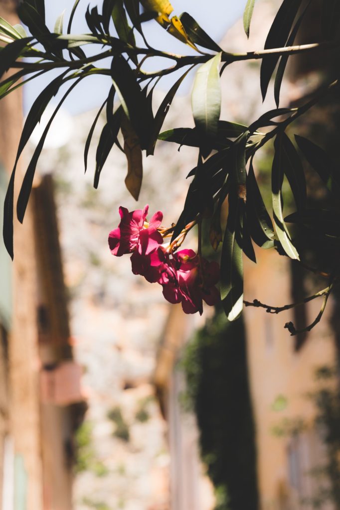 Moustiers-Sainte-Marie