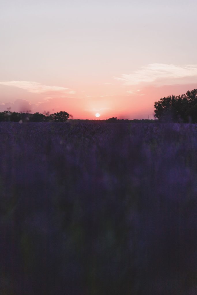 Coucher de soleil en Provence