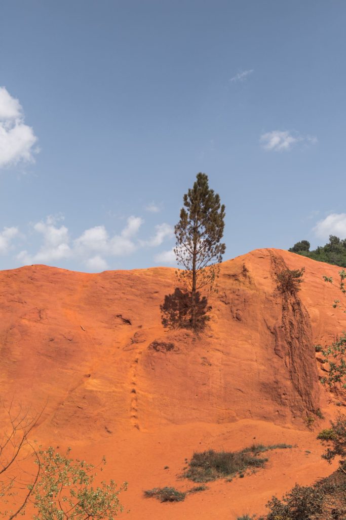 Colorado Provençal