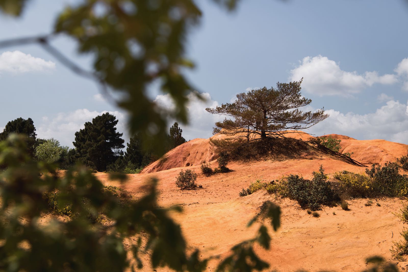 Colorado Provençal