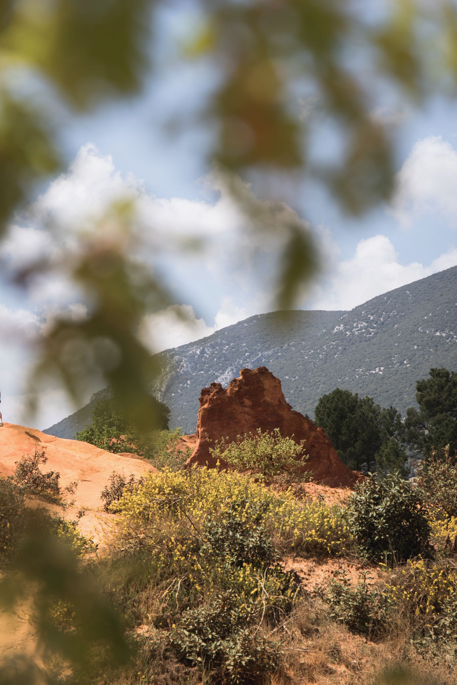 Colorado Provençal