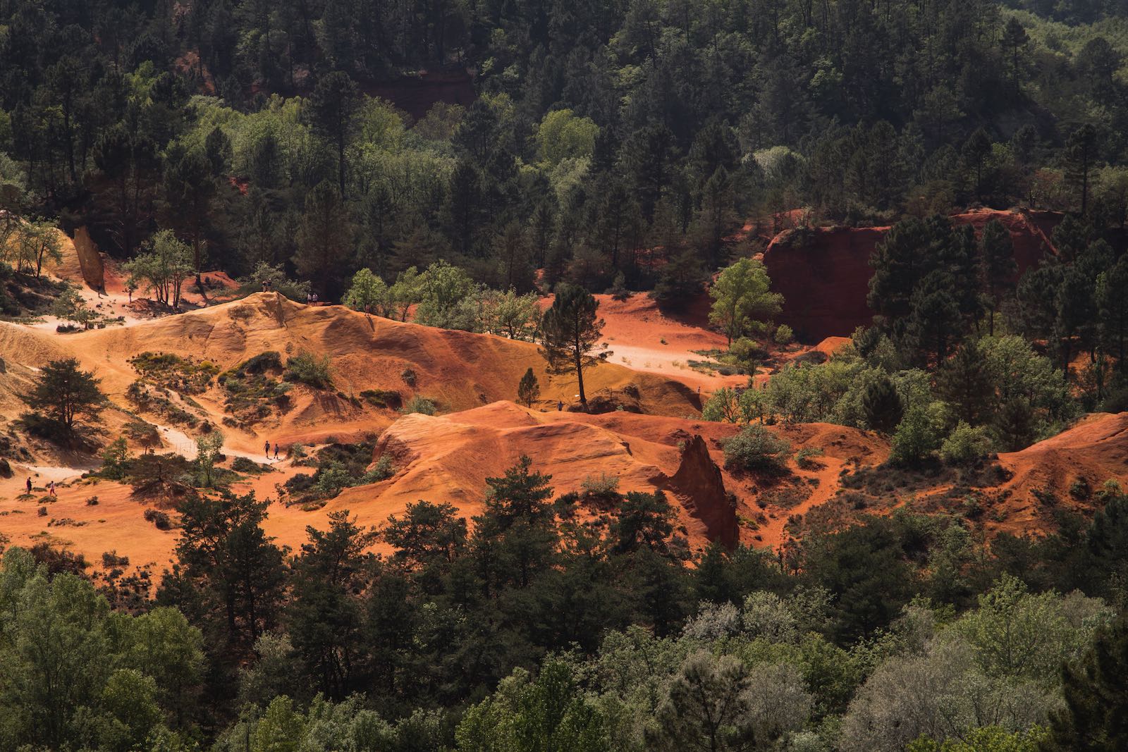 Colorado Provençal