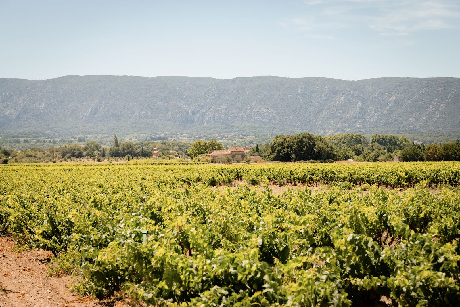 Domaine de la Bastidonne