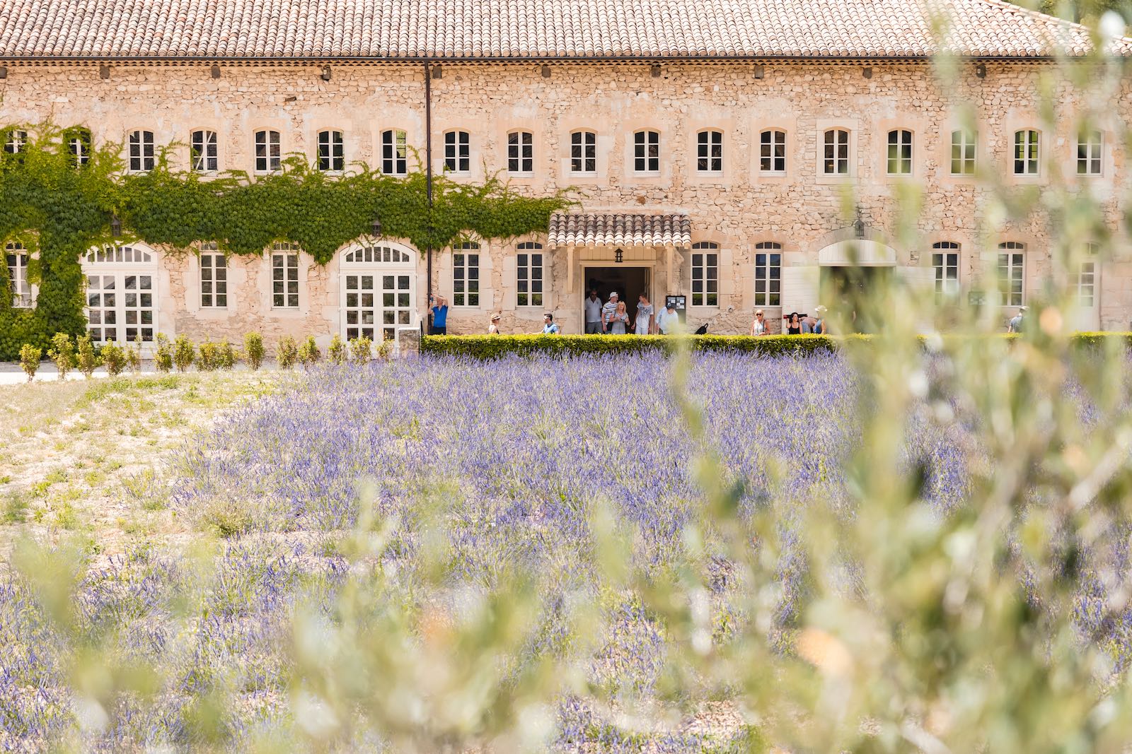 Abbaye de Sénanque & Lavande