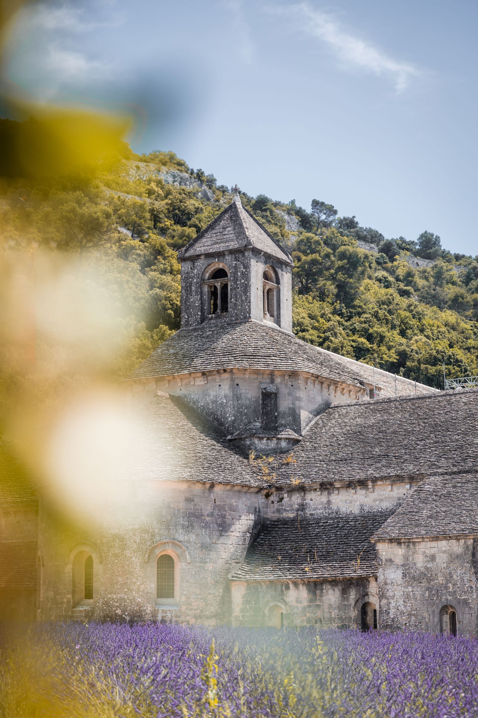Abbaye de Sénanque & Lavande