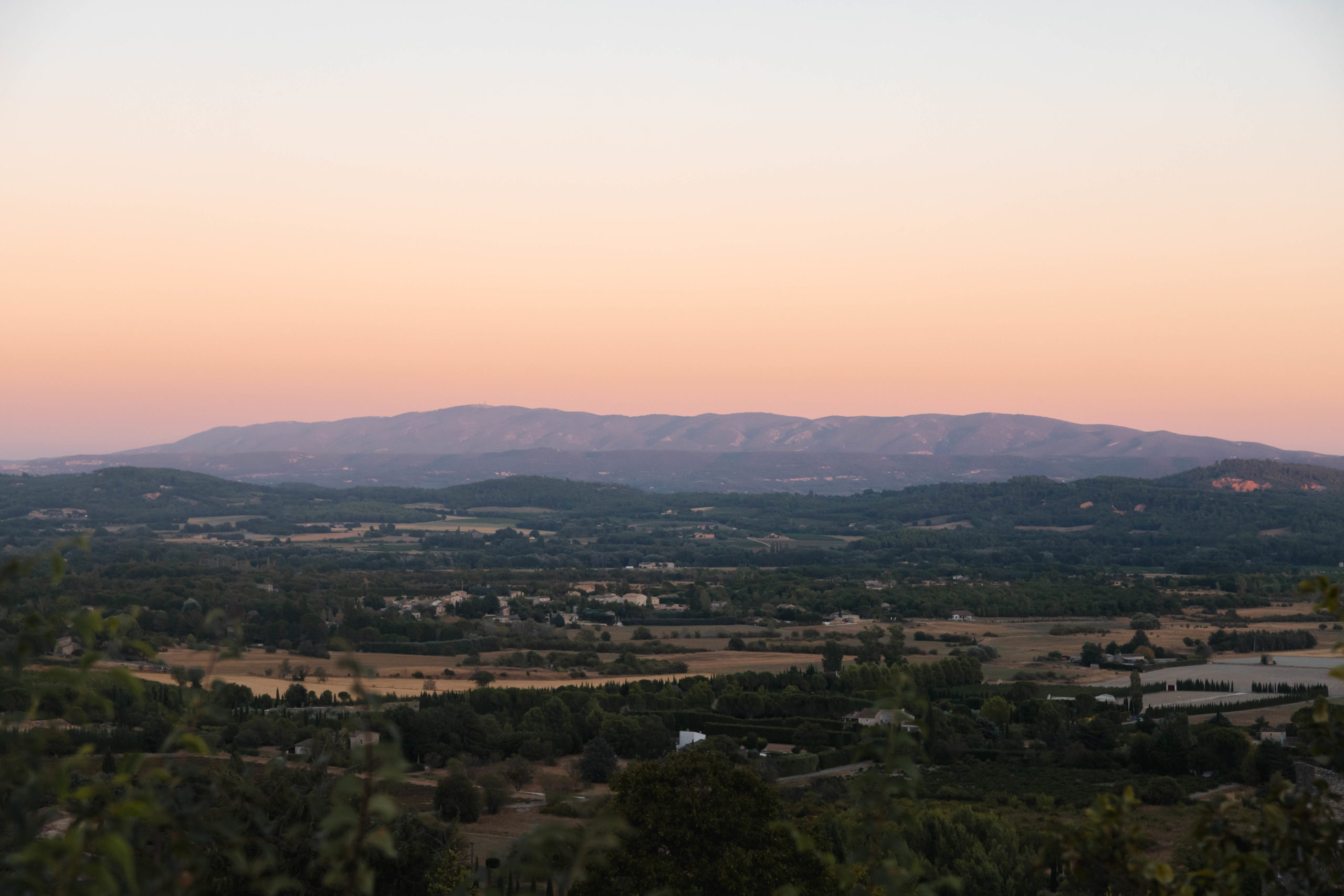 Sunset Vigneron