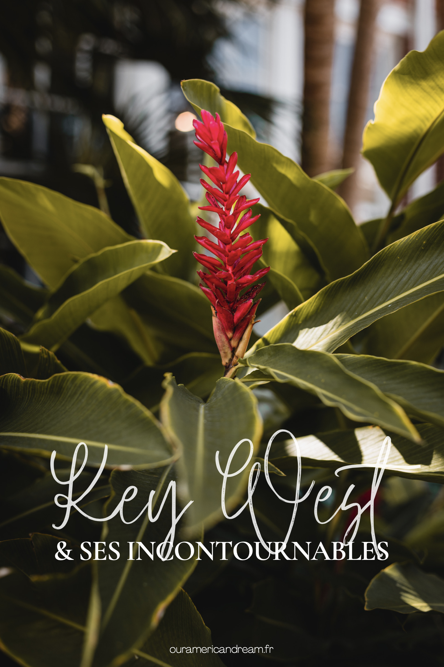 Pinterest Key West