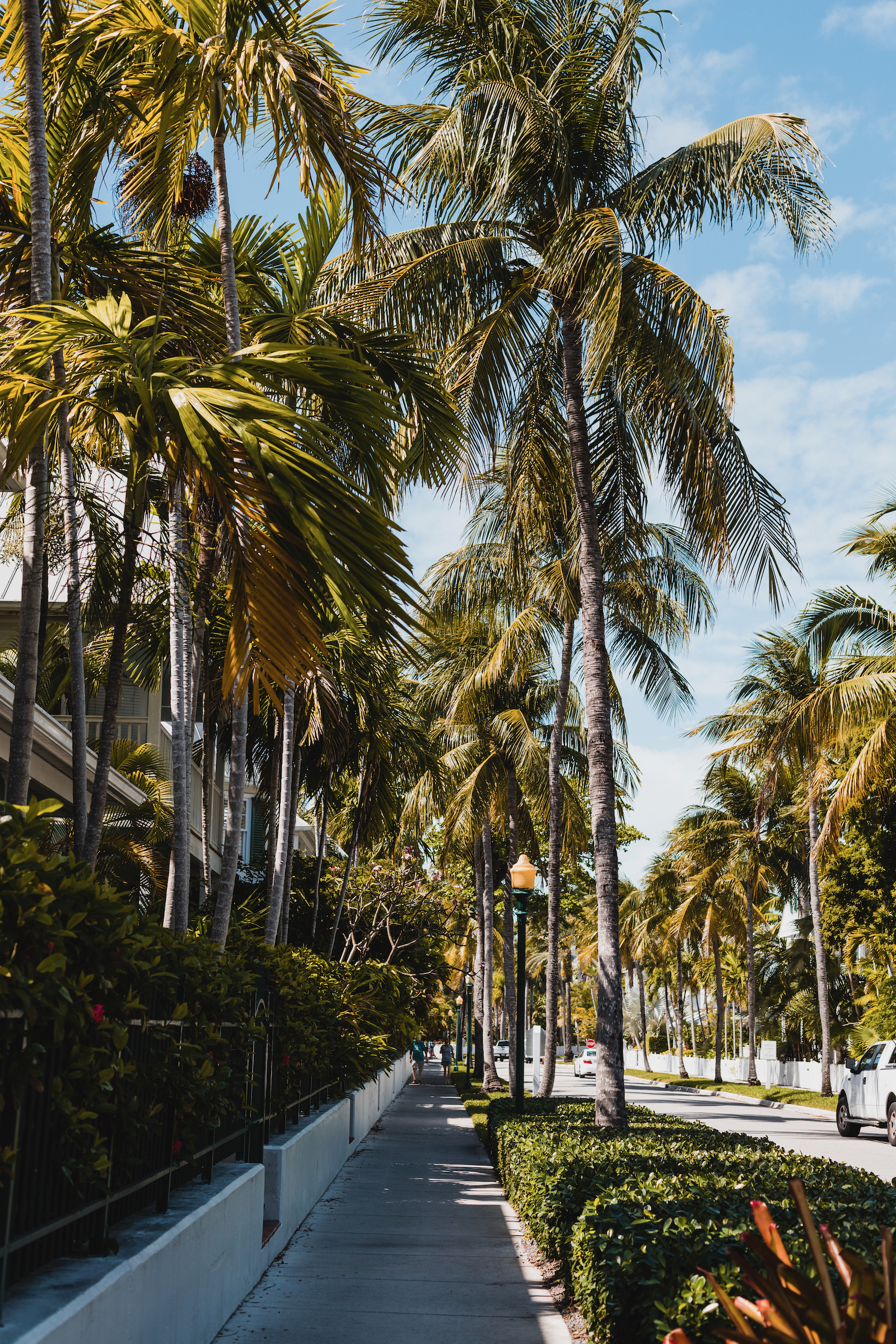 Que faire à Key West ?