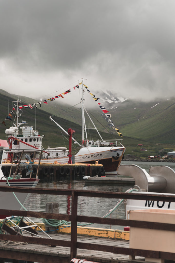 Islande — Le Nord & les Fjords de l'Est | Siglufjörður﻿