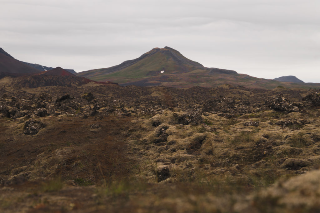 Islande | La péninsule du Snæfellsness - Berserkjahraun