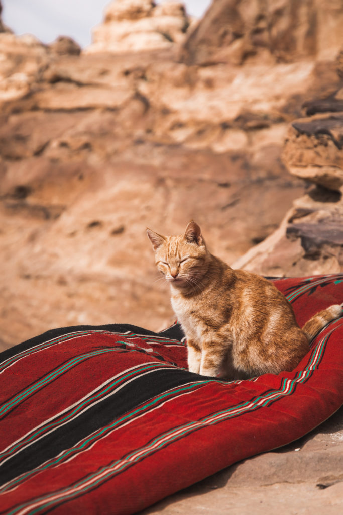 Jordanie | Notre guide pour découvrir Pétra
