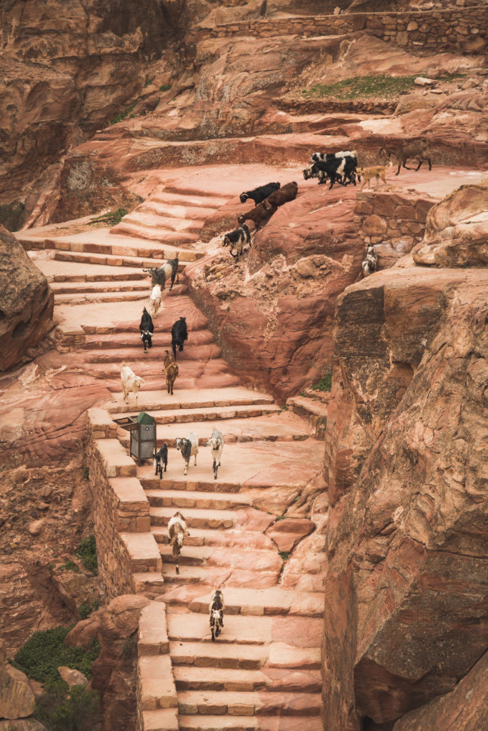Jordanie | Notre guide pour découvrir Pétra