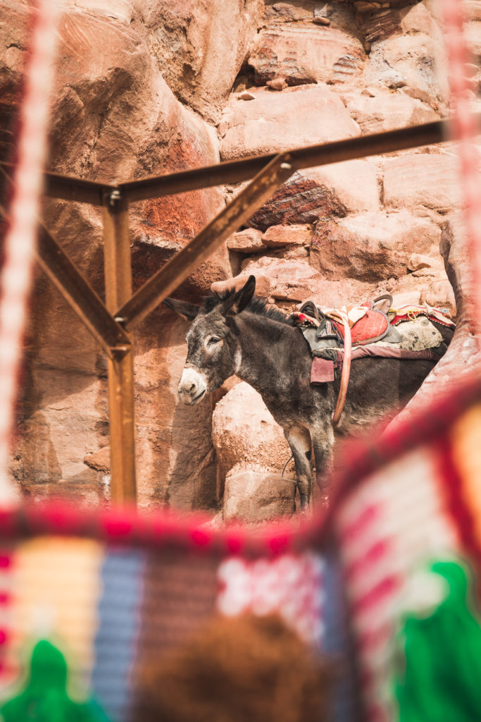 Jordanie | Notre guide pour découvrir Pétra