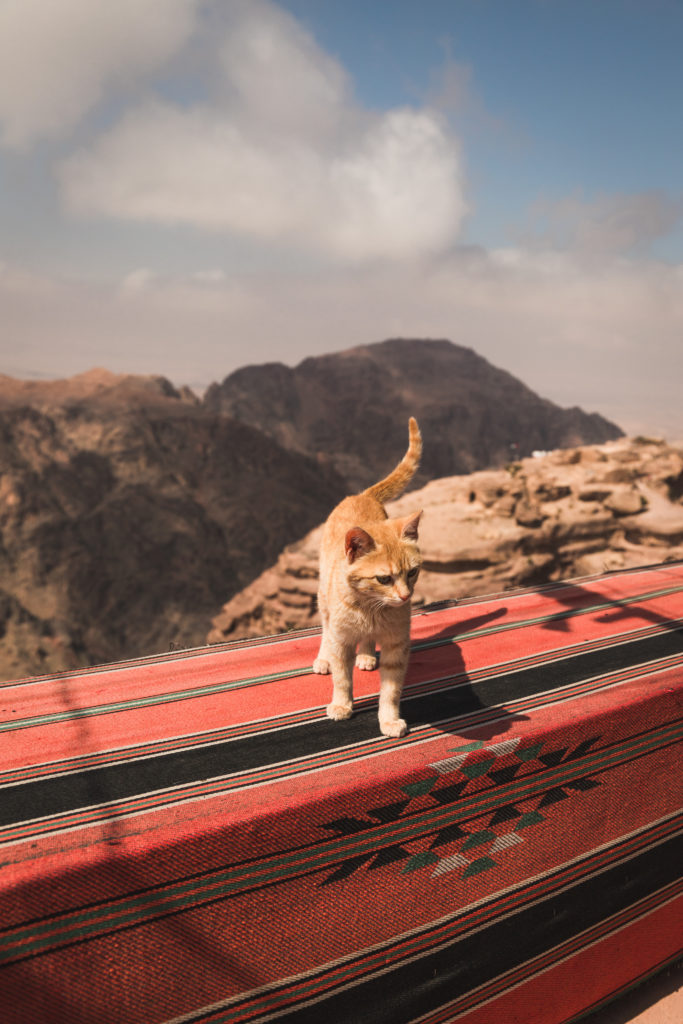 Jordanie | Notre guide pour découvrir Pétra